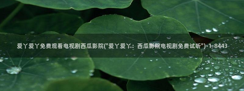 西瓜影院 在线看