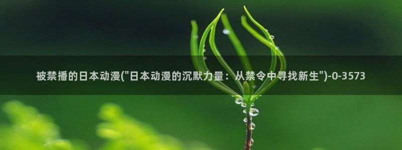 动漫电影：被禁播的日本动漫(\