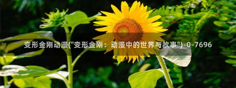动漫电影大全：变形金刚动漫(\