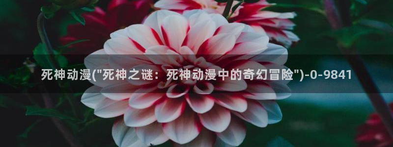 无限动漫：死神动漫(\