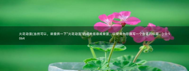 动漫培训基地：火花动漫(当然可以，请提供一下\