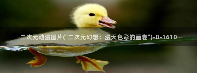 动漫bt：二次元动漫图片(\
