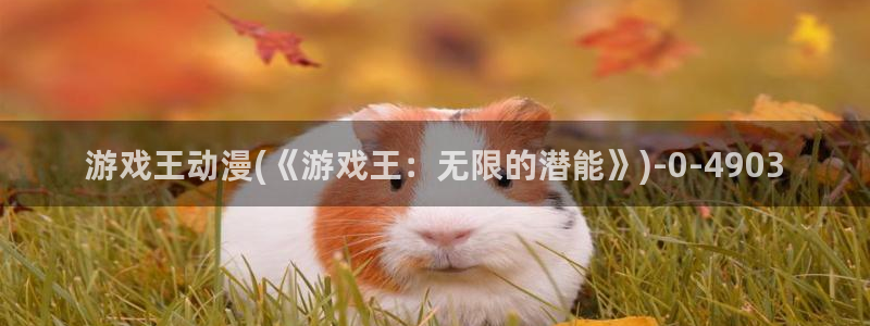 樱花动漫在线观看：游戏王动漫(《游戏王：无限的潜能》)